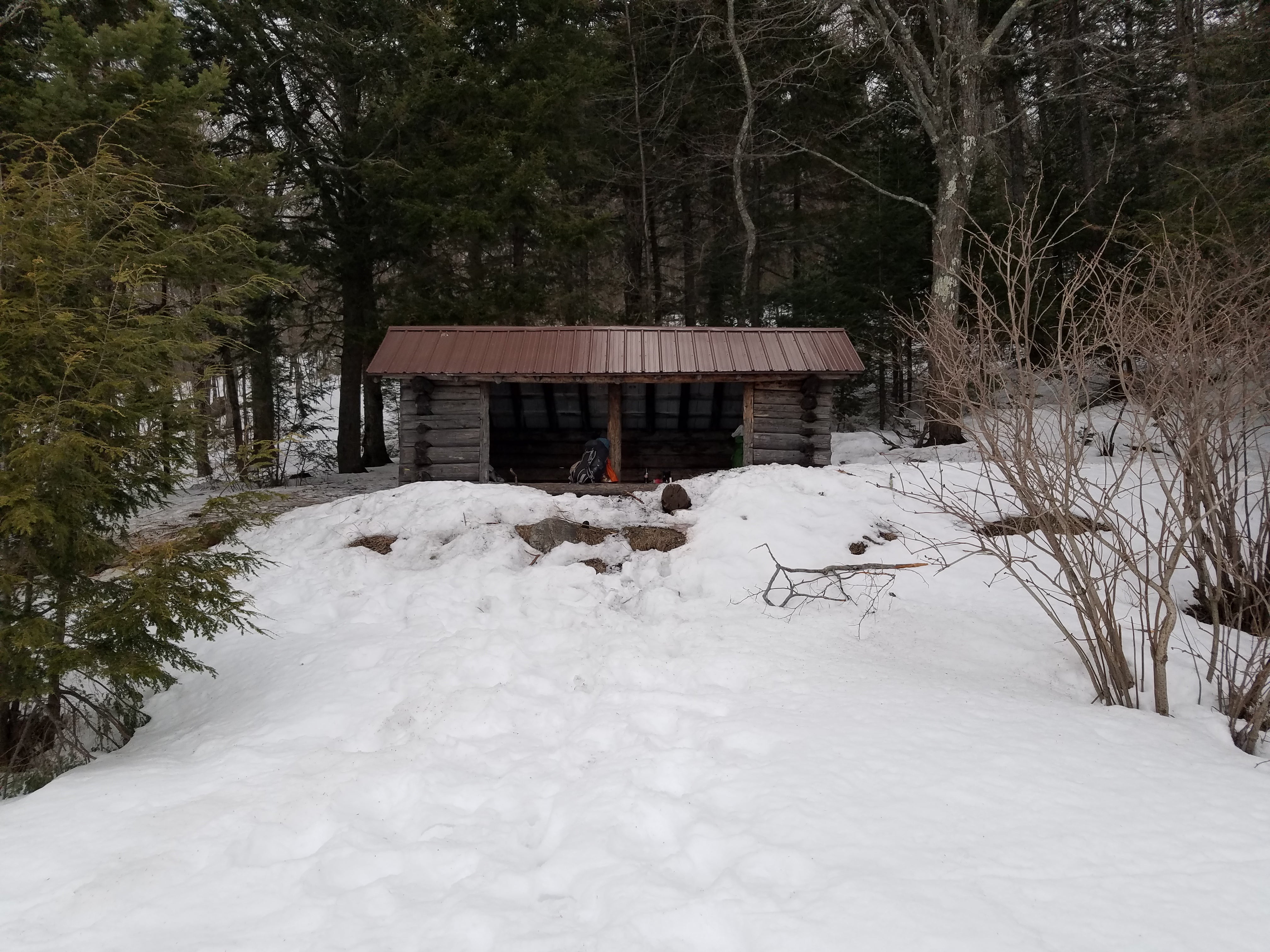 Camper submitted image from Sawyer Pond - 4