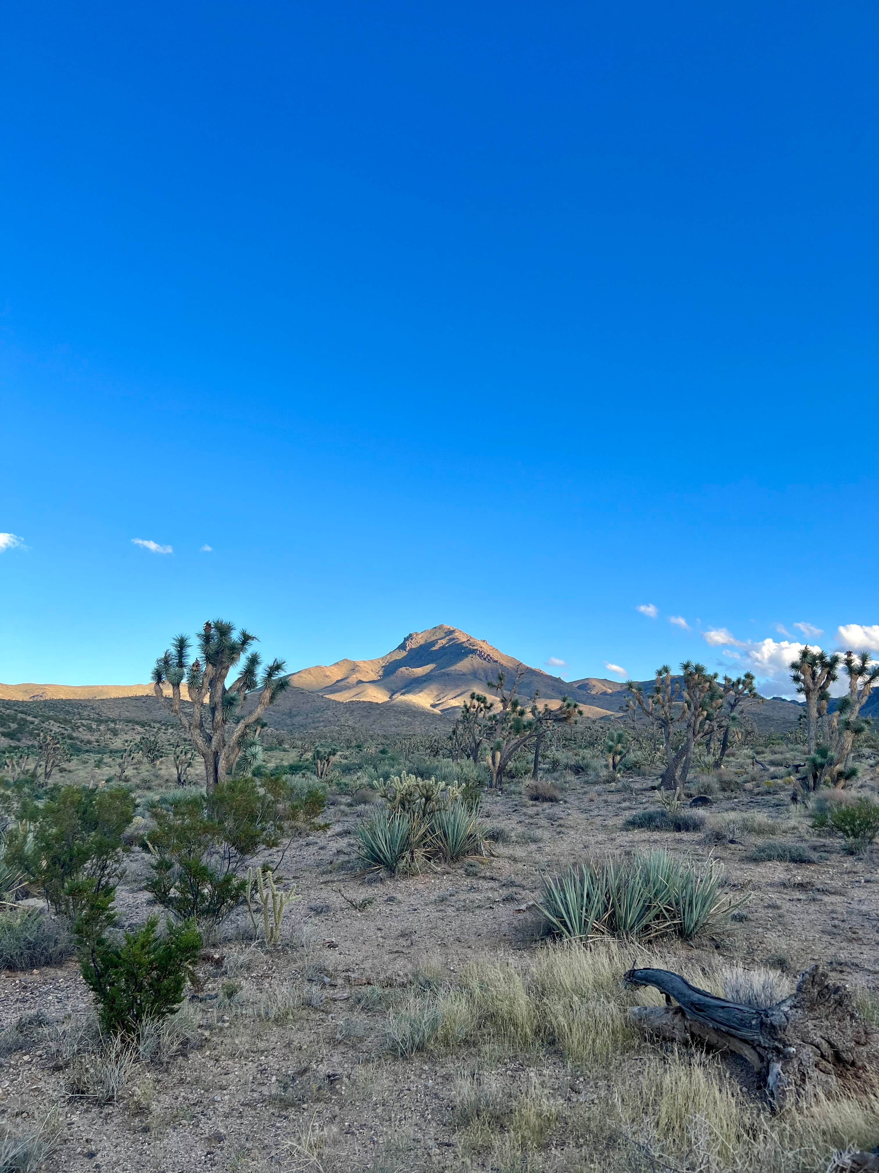 Camping near Meadview RV Park: Corvus Mountain View Retreat, Dolan Springs, Arizona