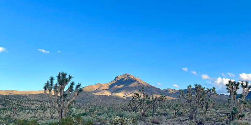 Camper submitted image from Corvus Mountain View Retreat