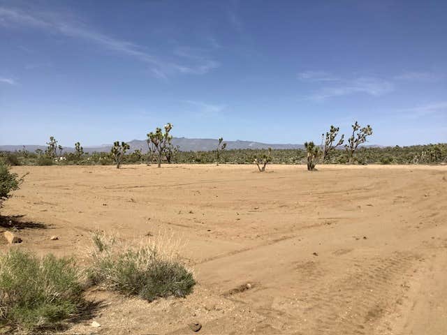Camper-submitted photo at Corvus Mountain View Retreat near Dolan Springs, AZ