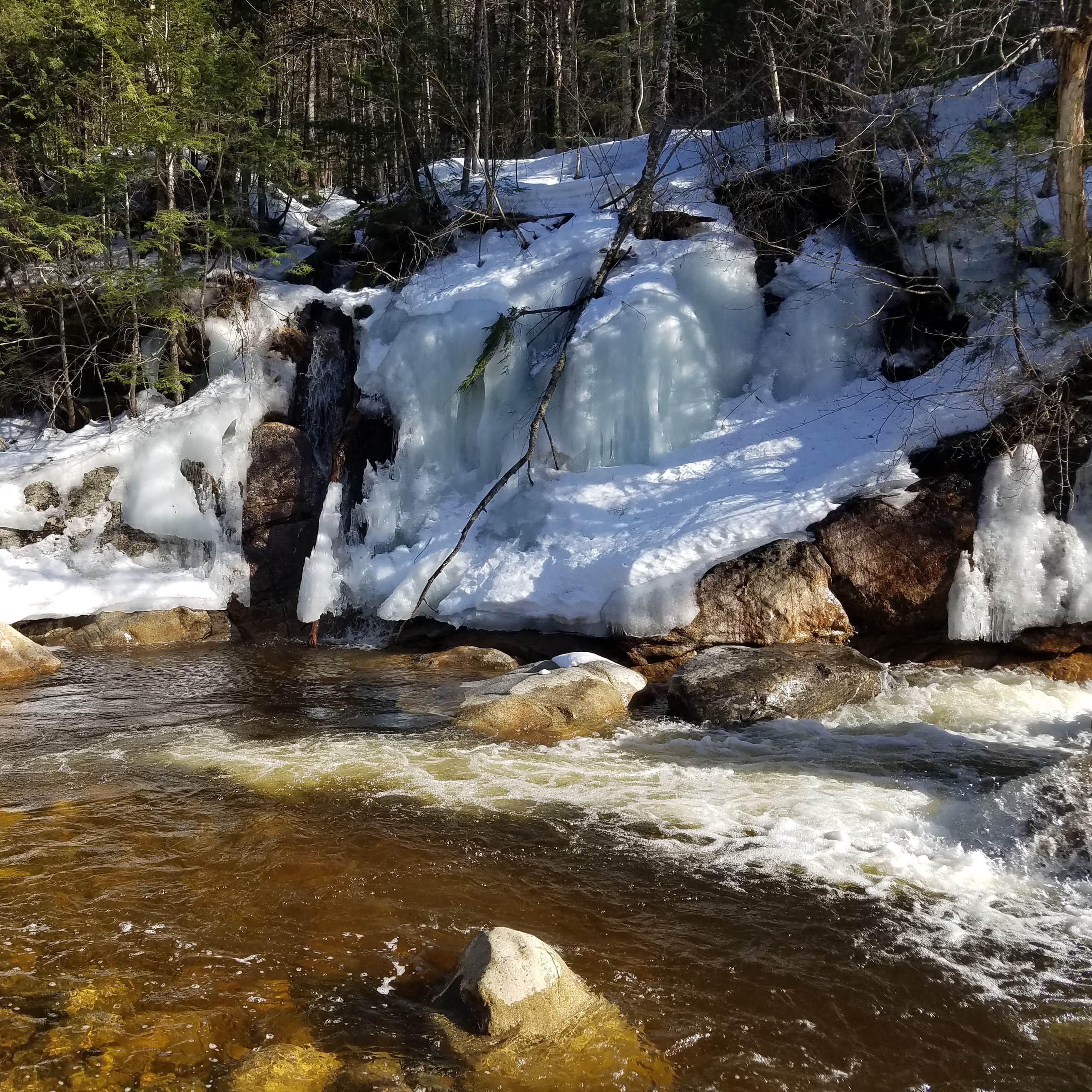 Sawyer Pond Camping Bartlett, NH The Dyrt
