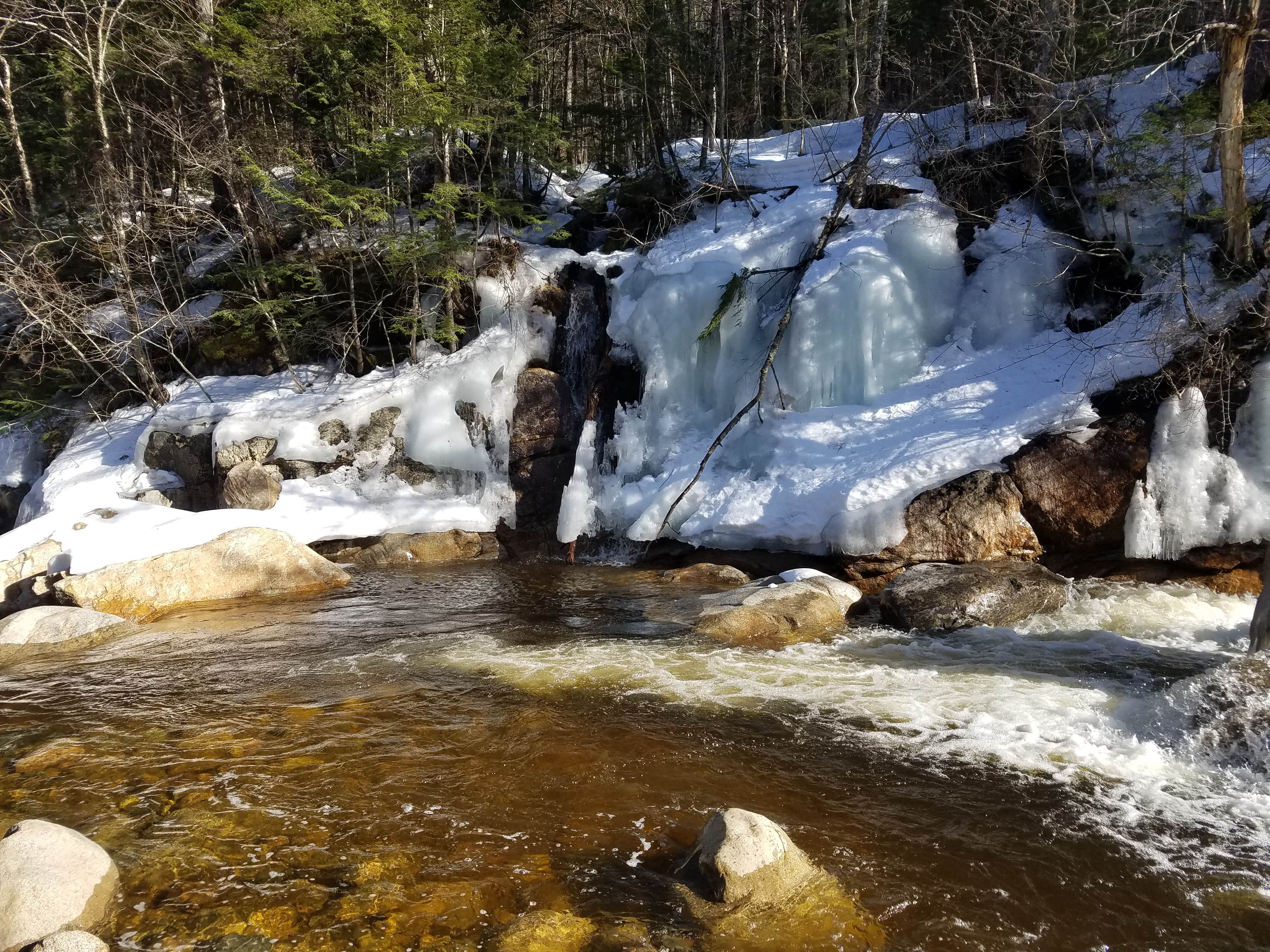 Camper submitted image from Sawyer Pond - 3