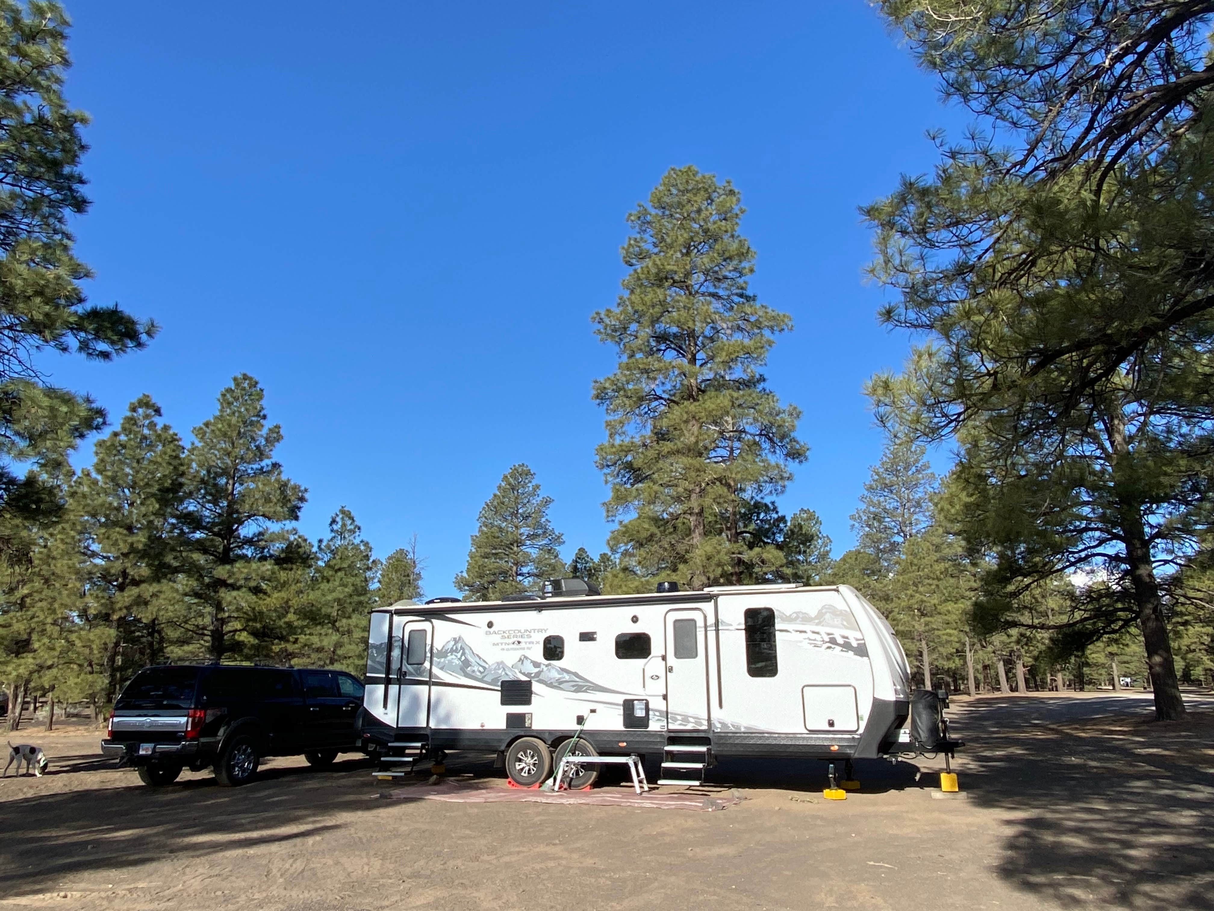 mary F.'s photo of camping with pets at Cinder Hills Off Highway Vehicle Area near Gray Mountain, AZ