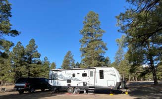 mary F.'s photo of camping with pets at Cinder Hills Off Highway Vehicle Area near Cameron, AZ