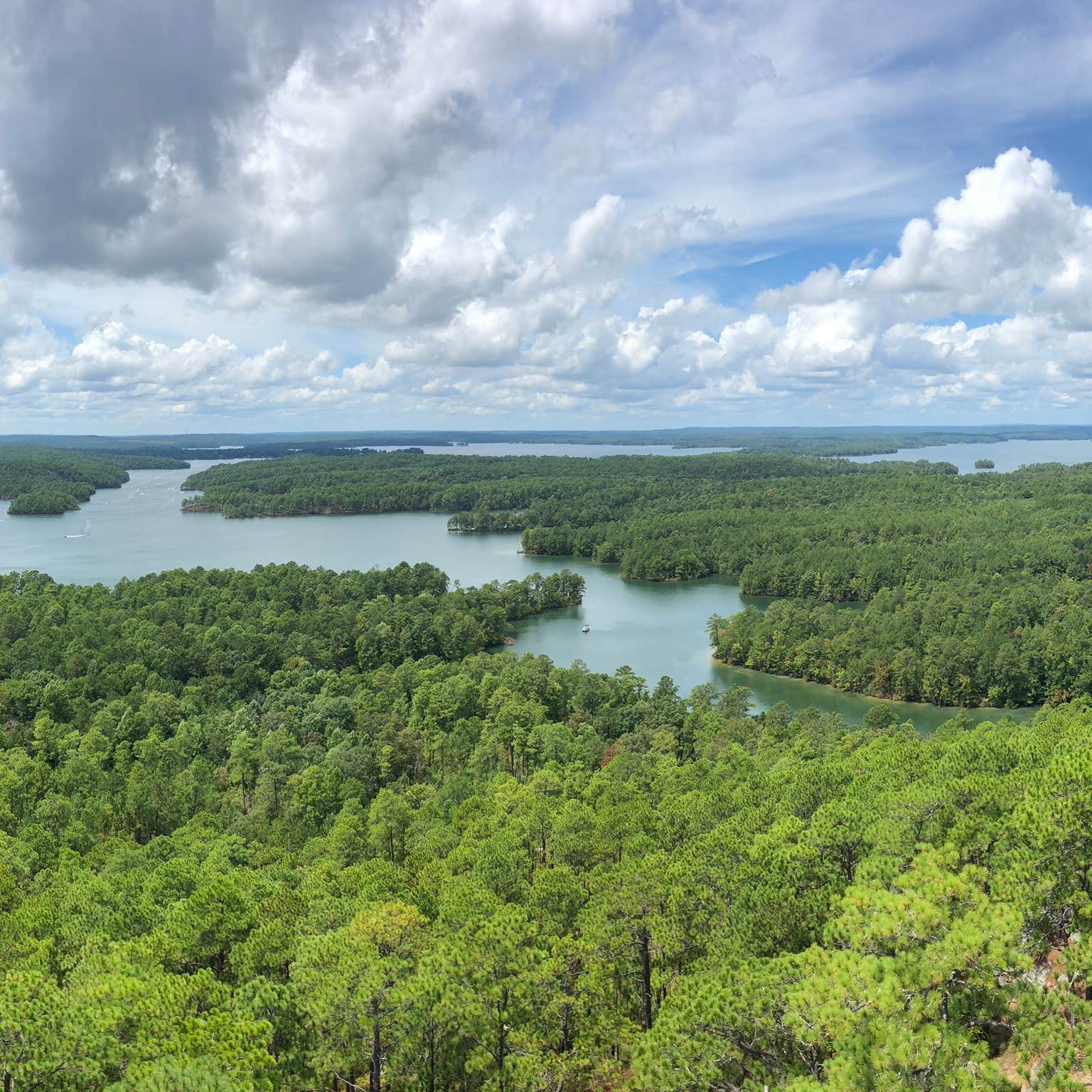 Wind Creek State Park Camping  The Dyrt