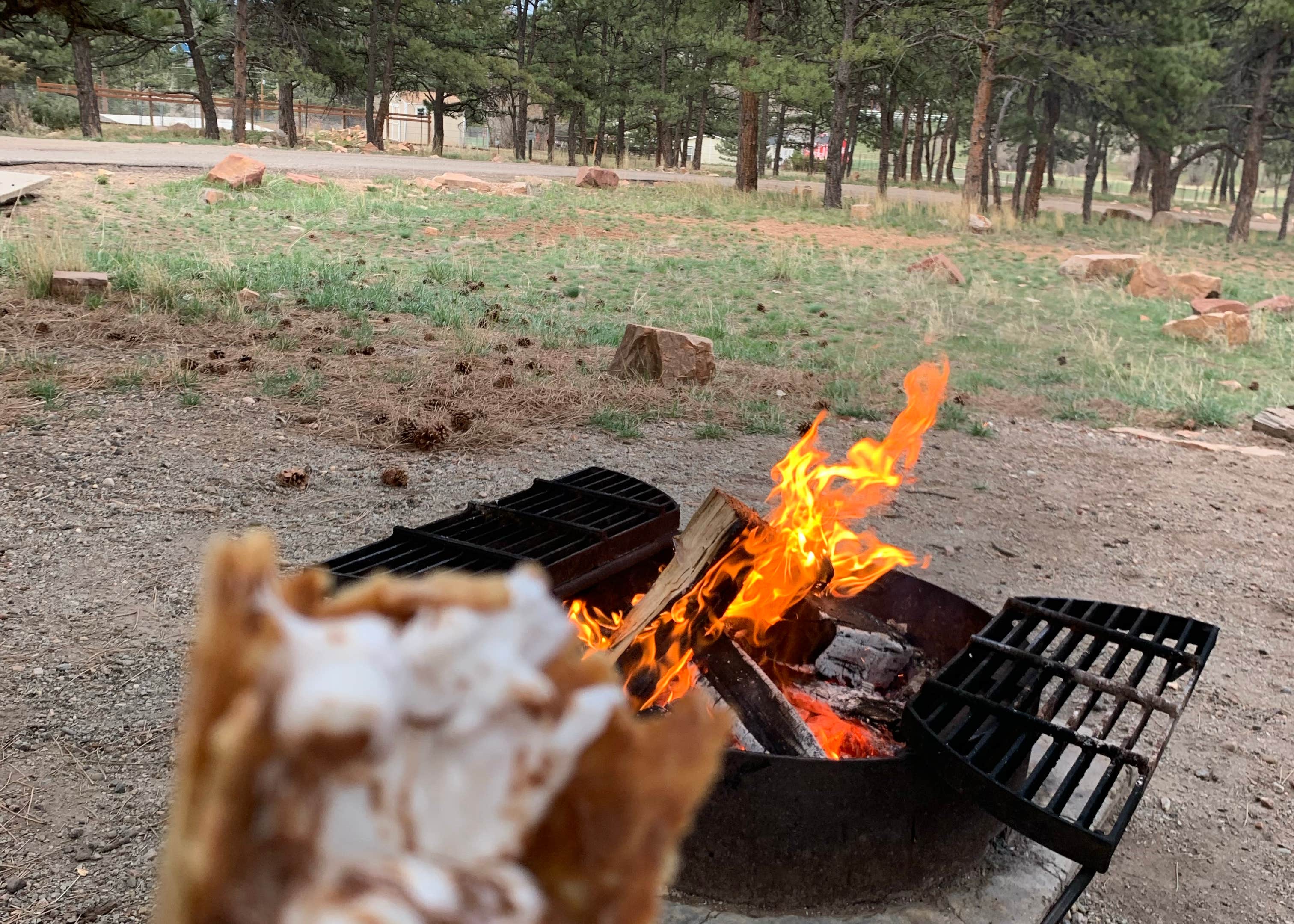 Eagle Campground at Carter Lake Camping The Dyrt