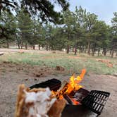 Review photo of Eagle Campground at Carter Lake by Christine S., April 25, 2023