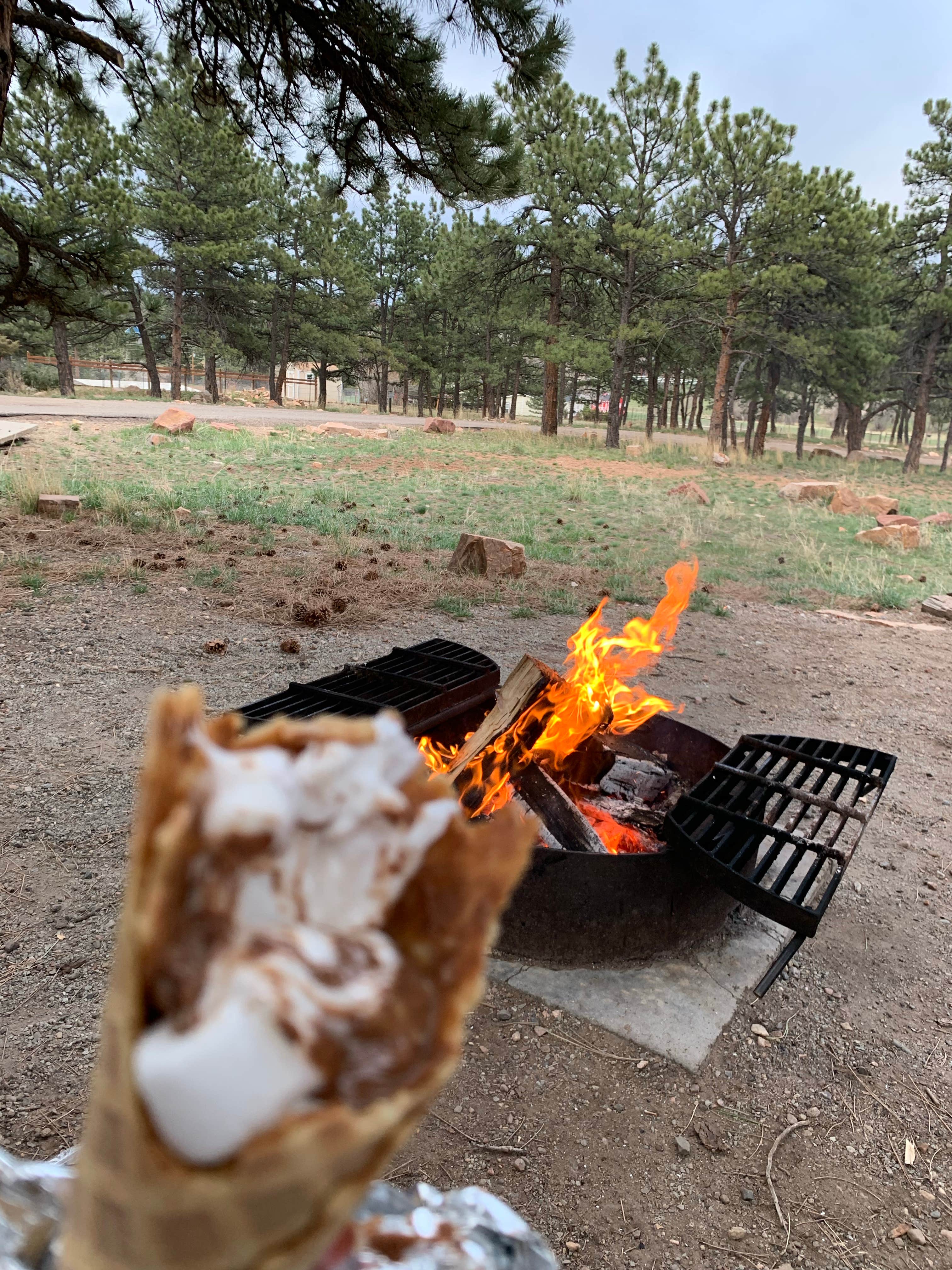 Camper submitted image from Eagle Campground at Carter Lake - 1