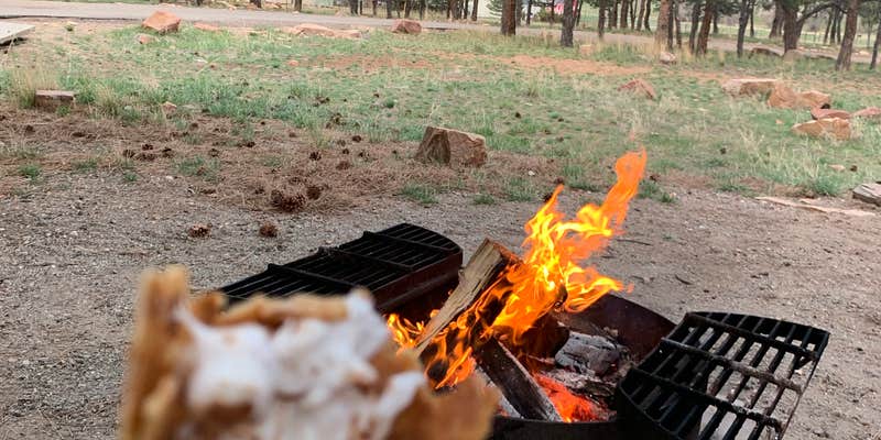Camper submitted image from Eagle Campground at Carter Lake