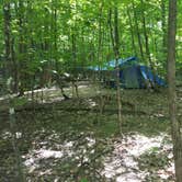 Review photo of Crawford Notch Campground by Ryan M., October 7, 2018