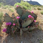 Review photo of Ghost Town Road BLM Camping by Ann Marie A., April 25, 2023