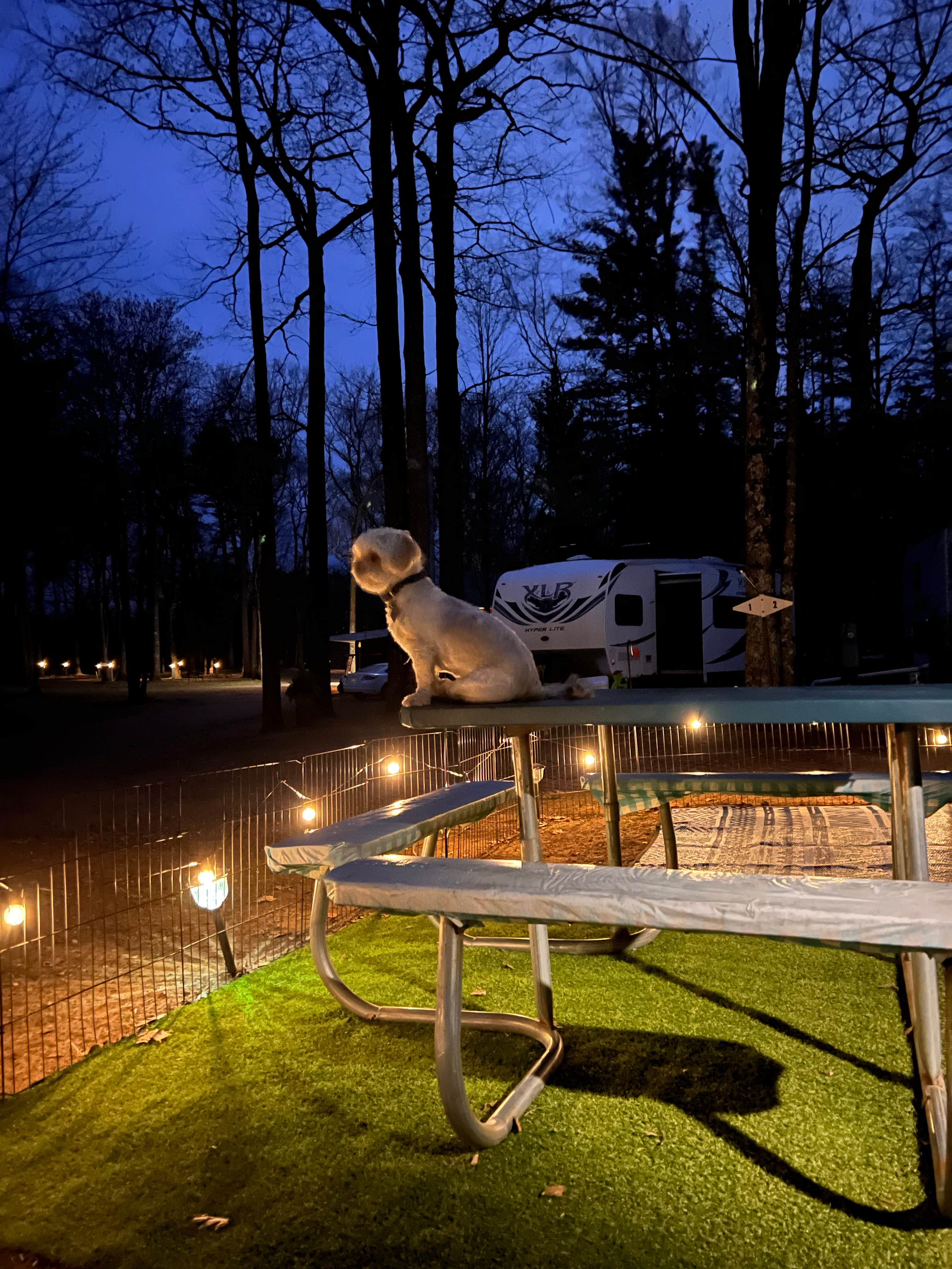 Camping near Upper Gresham Lake Campground — Northern Highland State Forest: Camp Holiday Campground, Boulder Junction, Wisconsin