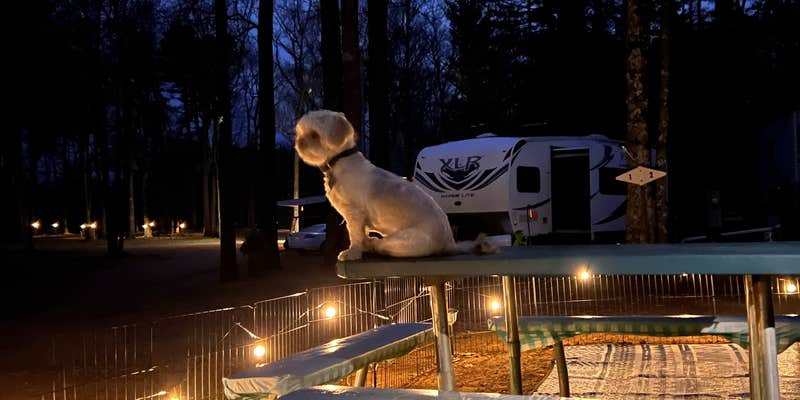 Camper submitted image from Camp Holiday Campground