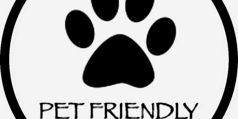 Camper submitted image from Pet Friendly Cabin 4 - 15 minutes from Magnolia and Baylor