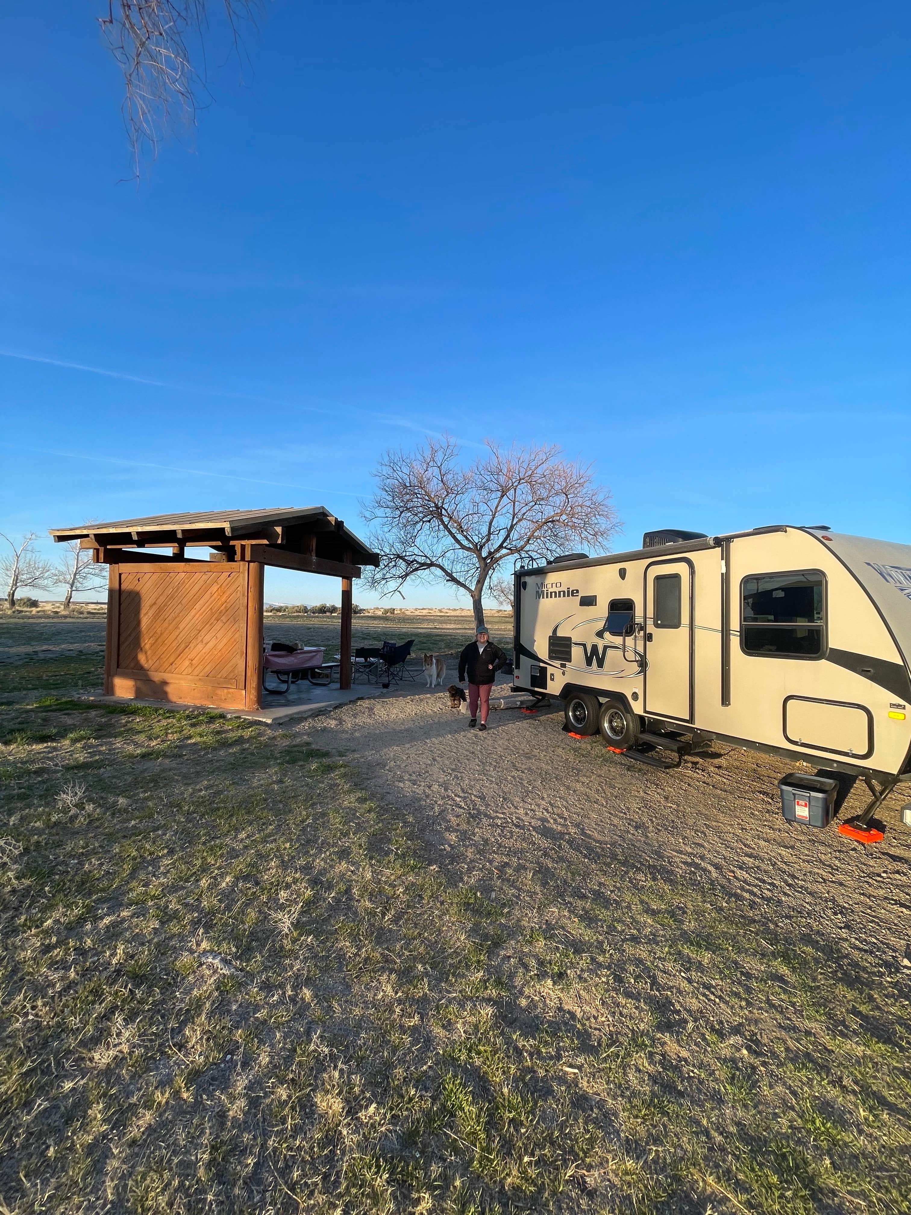 Josh D.'s photo of camping with pets at Bruneau Dunes State Park Campground in Idaho