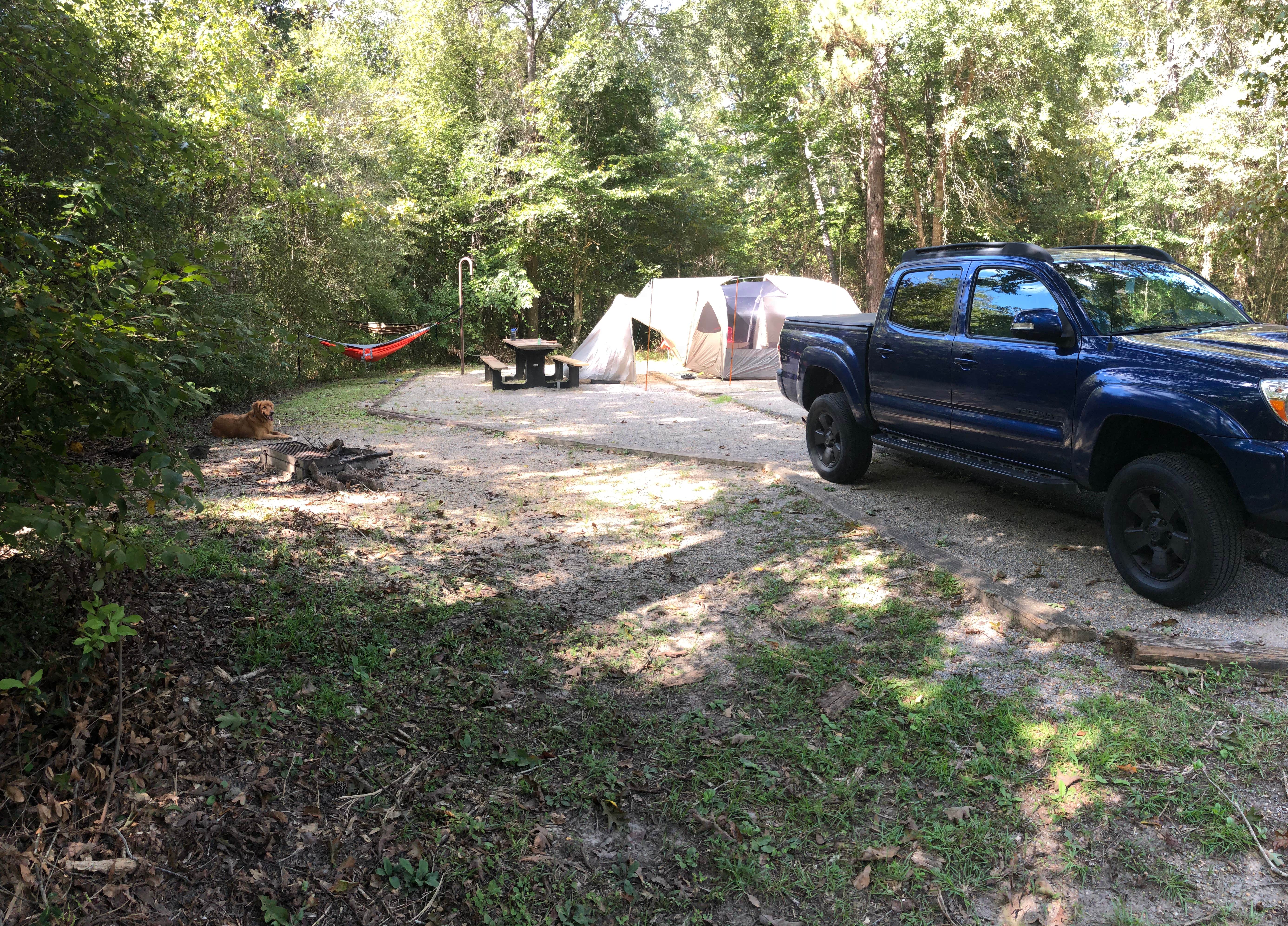 Whitney S.'s photo at Big Biloxi Recreation Area near Ocean Springs, MS