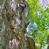 Review photo of Wind Creek State Park Campground by Whitney S., October 7, 2018