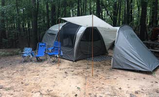 Whitney S.'s photo of tent camping at Wind Creek State Park Campground near Dadeville, AL