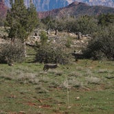 Review photo of Zion Wright Family Ranch by Kylie P., April 26, 2023