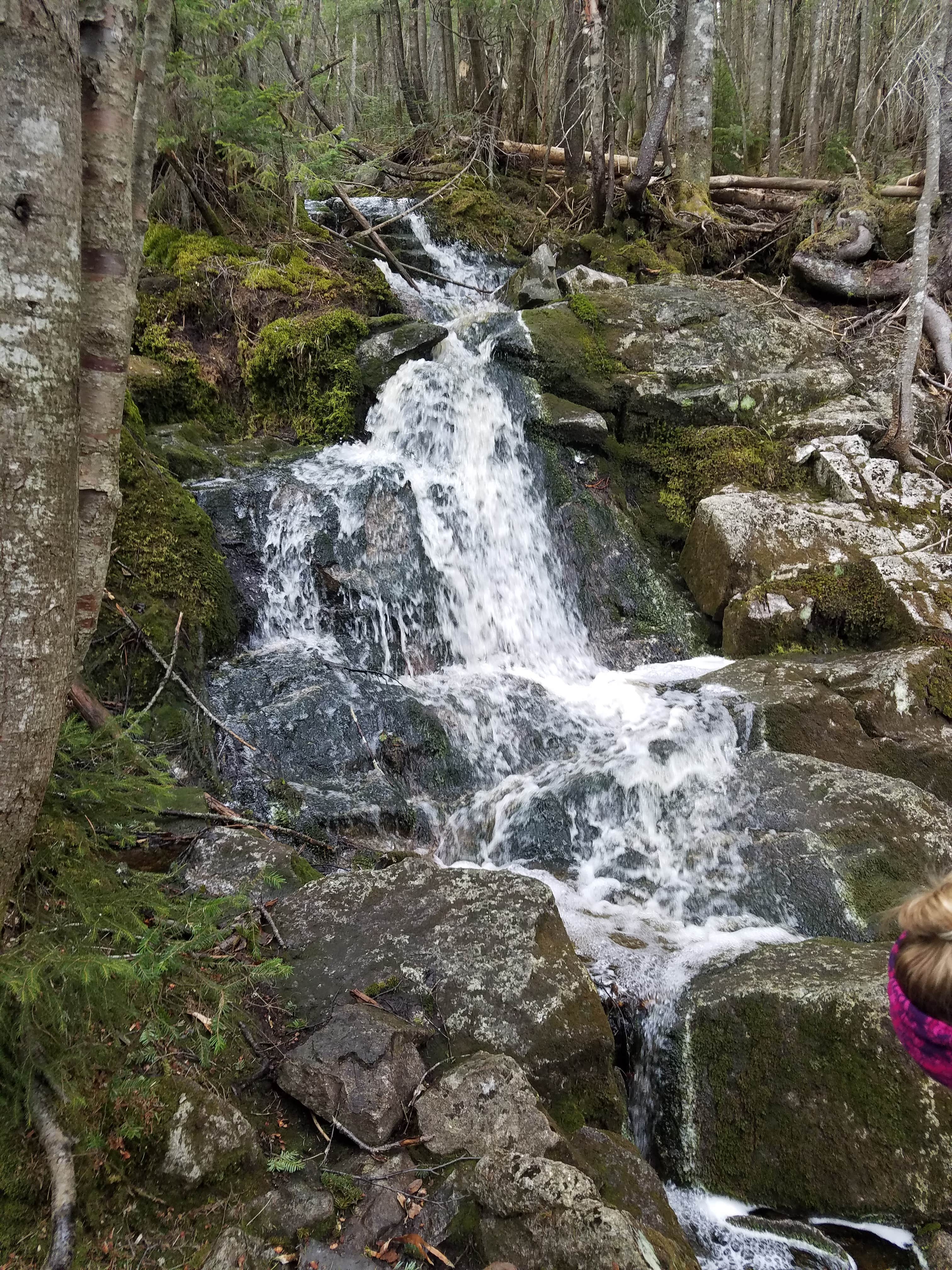 Camper-submitted photo at Kinsman Pond Shelter near Benton, NH