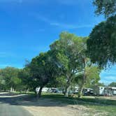 Review photo of Rio Grande Village RV Campground — Big Bend National Park by Shana D., April 26, 2023