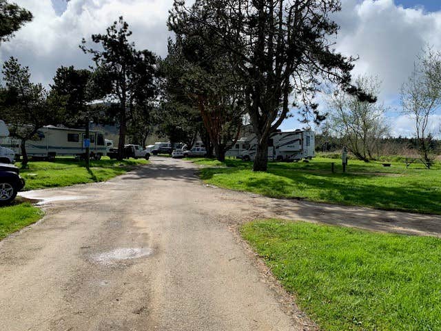 Camper-submitted photo at Circle Creek RV Park & Campground near Cannon Beach, OR