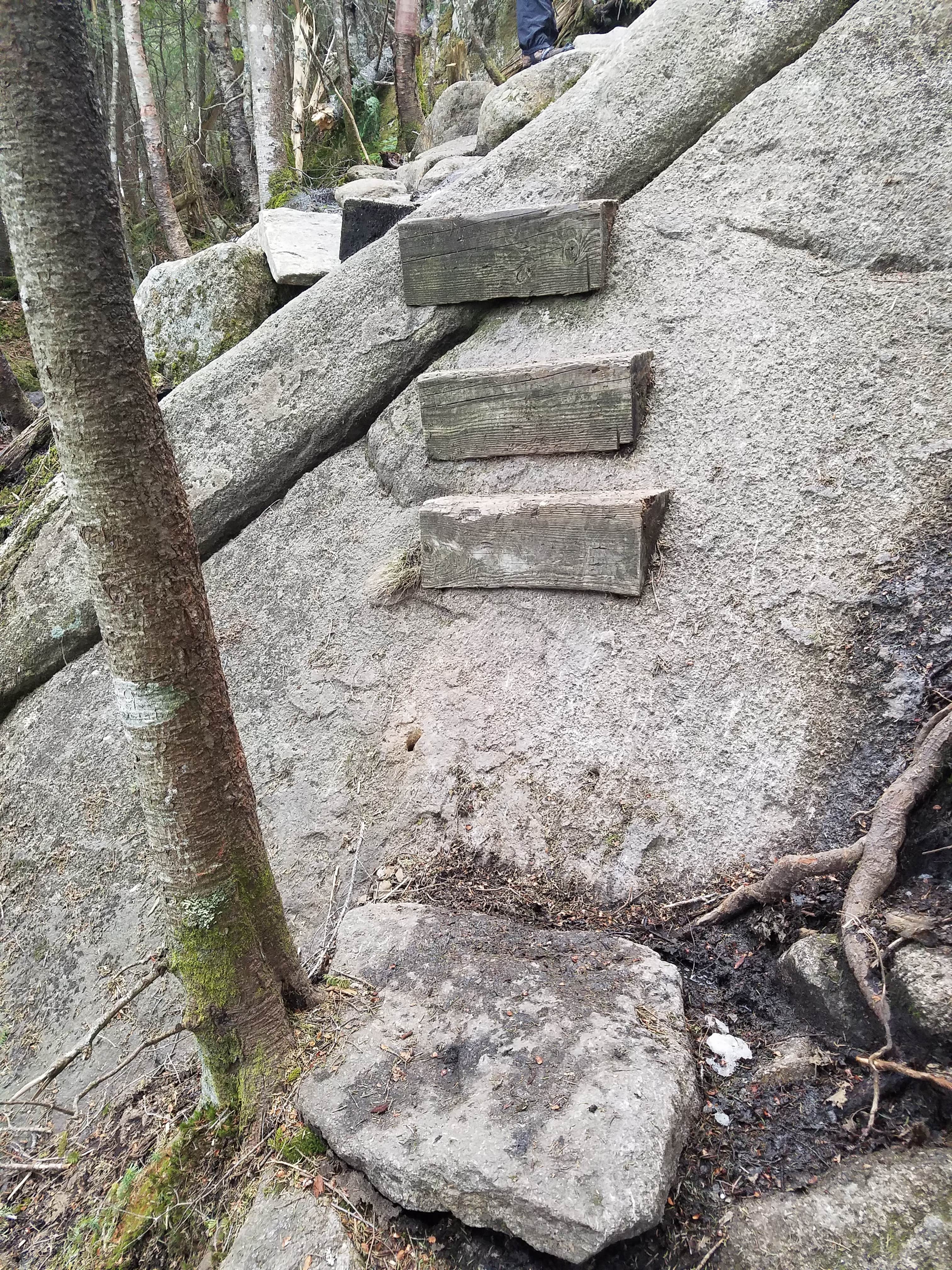 Camper-submitted photo at Kinsman Pond Shelter near Benton, NH