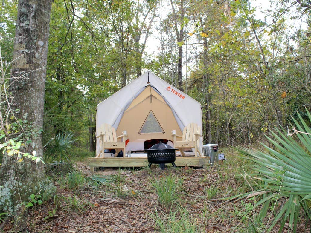 The Dyrt's photo at Tentrr State Park Site - Louisiana Fontainebleau State Park - Pond View G - Single Camp near Avondale, LA