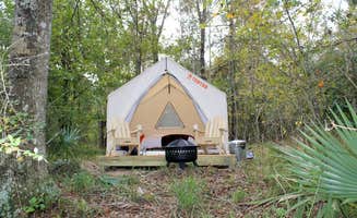 The Dyrt's photo at Tentrr State Park Site - Louisiana Fontainebleau State Park - Pond View D - Single Camp near New Orleans, LA