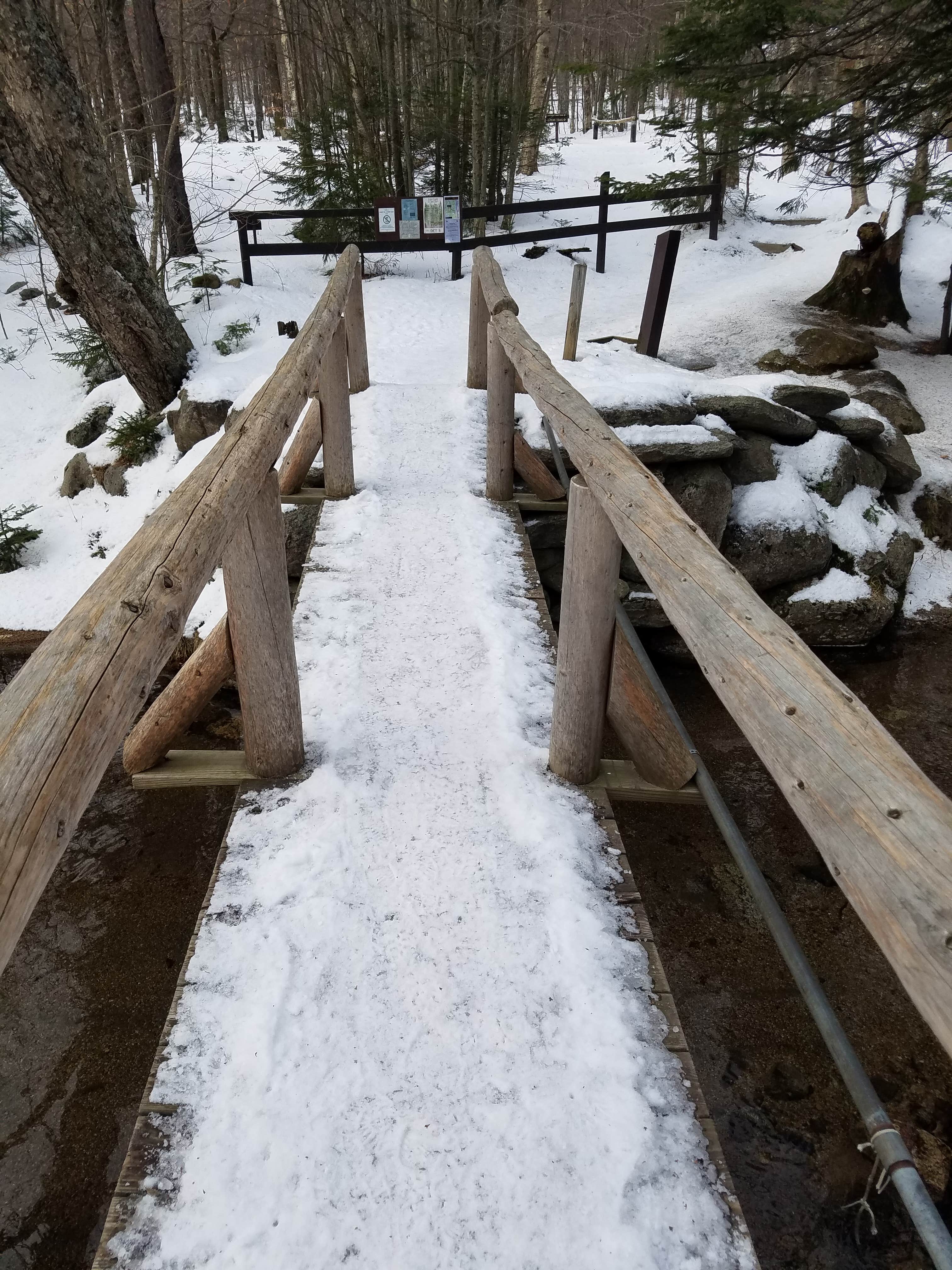 Camper submitted image from Lonesome Lake Hut - 4