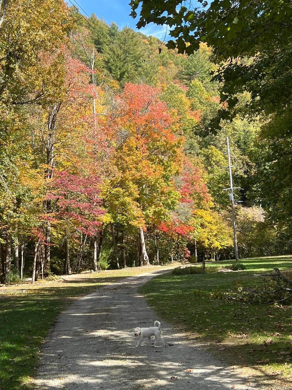 Carter S.'s photo of camping with pets at Hidden Waters RV Park & Campground near Marble, NC