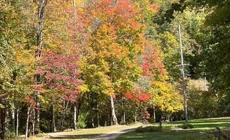 Carter S.'s photo of camping with pets at Hidden Waters RV Park & Campground near Fontana Dam, NC