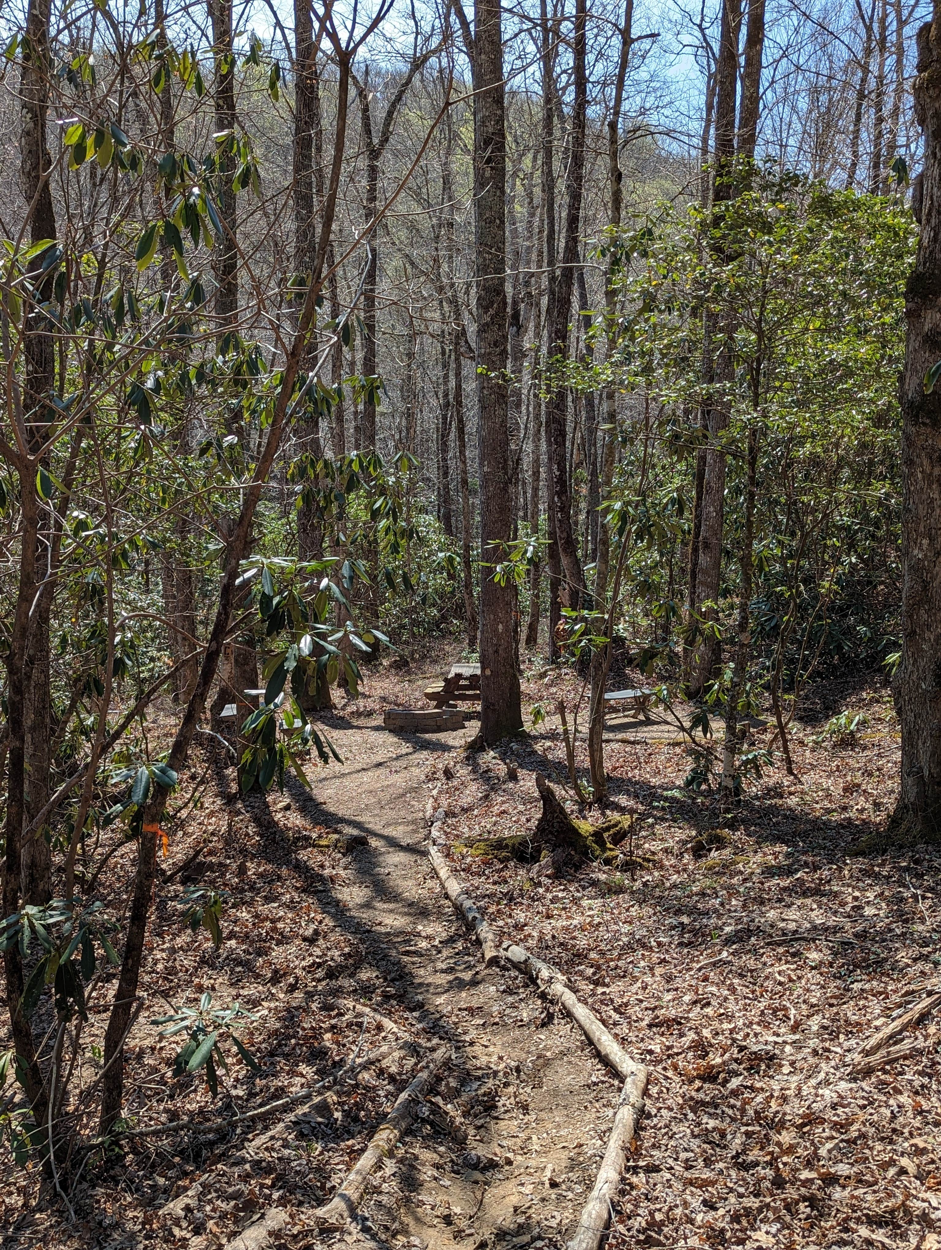 Camper-submitted photo at Backside Campground at Nantahala near Nantahala National Forest