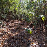 Review photo of Backside Campground at Nantahala by Mike H., April 26, 2023