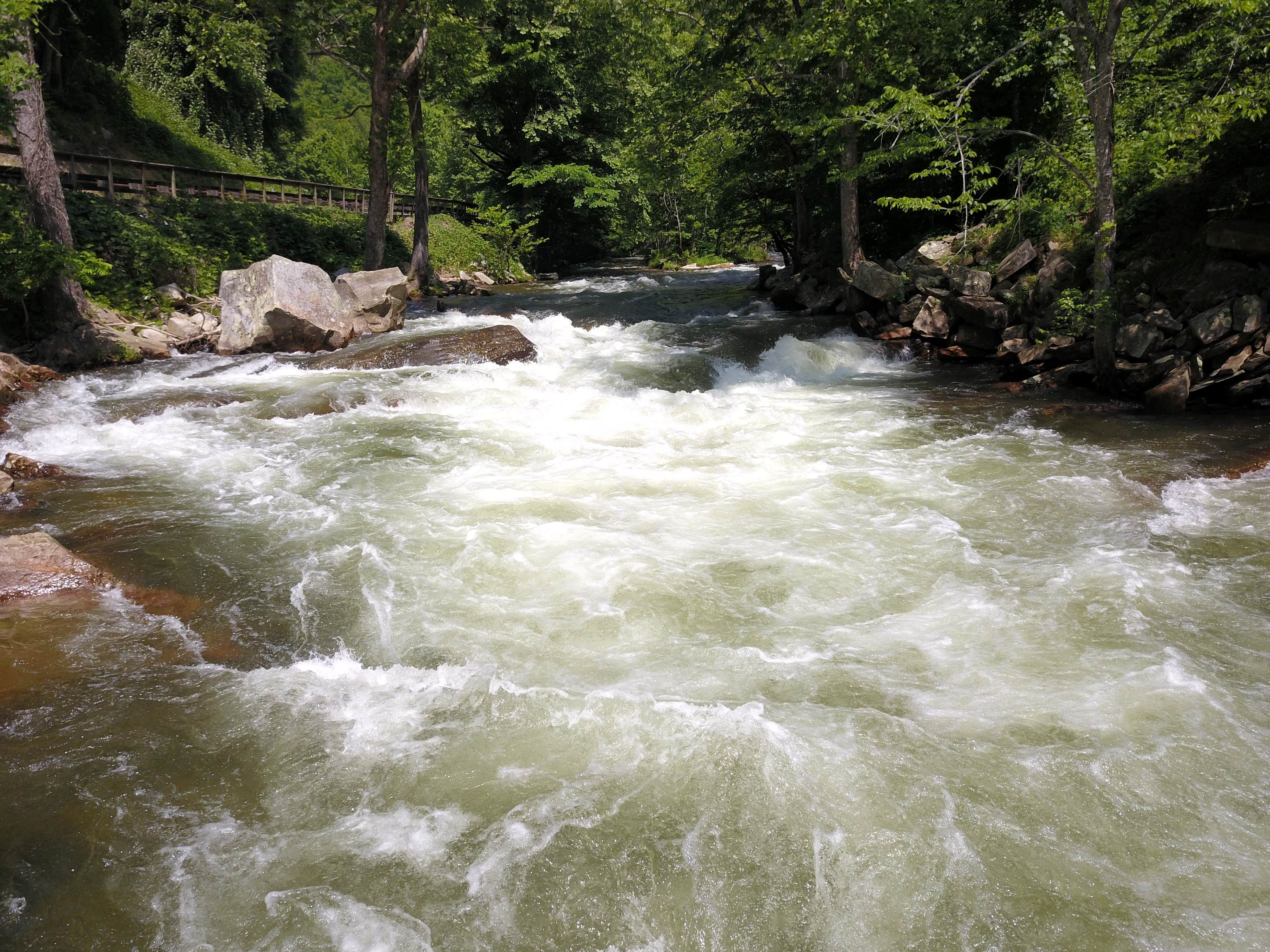 Camper submitted image from Backside Campground at Nantahala - 4