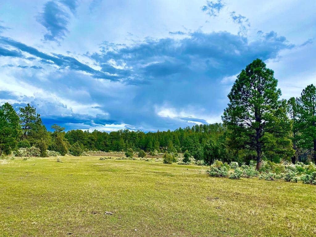 Kala J.'s photo of a dispersed camping area at Carson NF - Forest Service Road 578 - Dispersed Camping near Peñasco, NM
