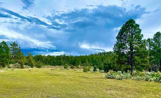 Kala J.'s photo of a dispersed camping area at Carson NF - Forest Service Road 578 - Dispersed Camping near Carson National Forest