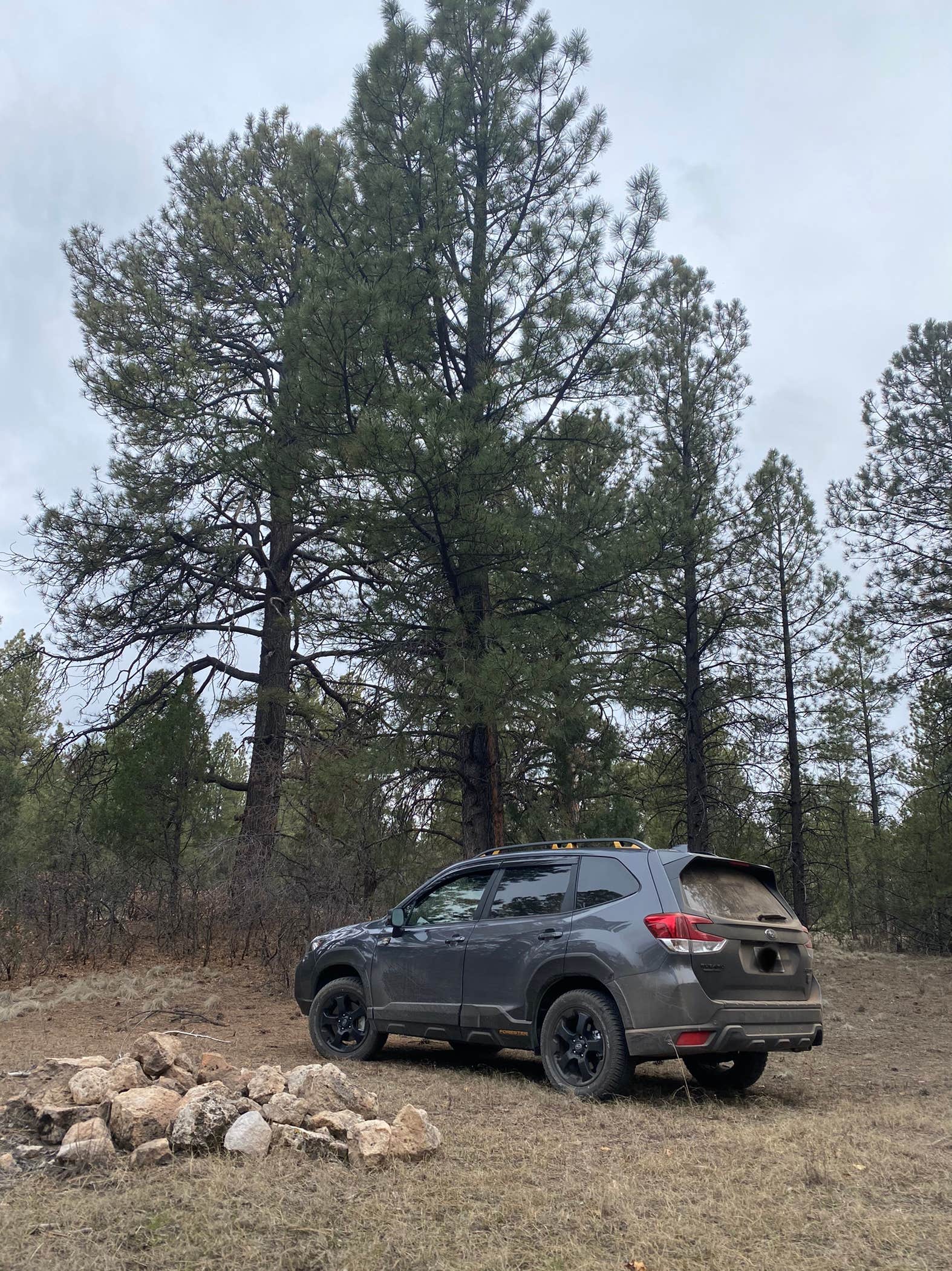Camper submitted image from Carson NF - Forest Service Road 578 - Dispersed Camping - 5