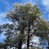 Review photo of Mather Campground — Grand Canyon National Park by Geoff R., April 26, 2023