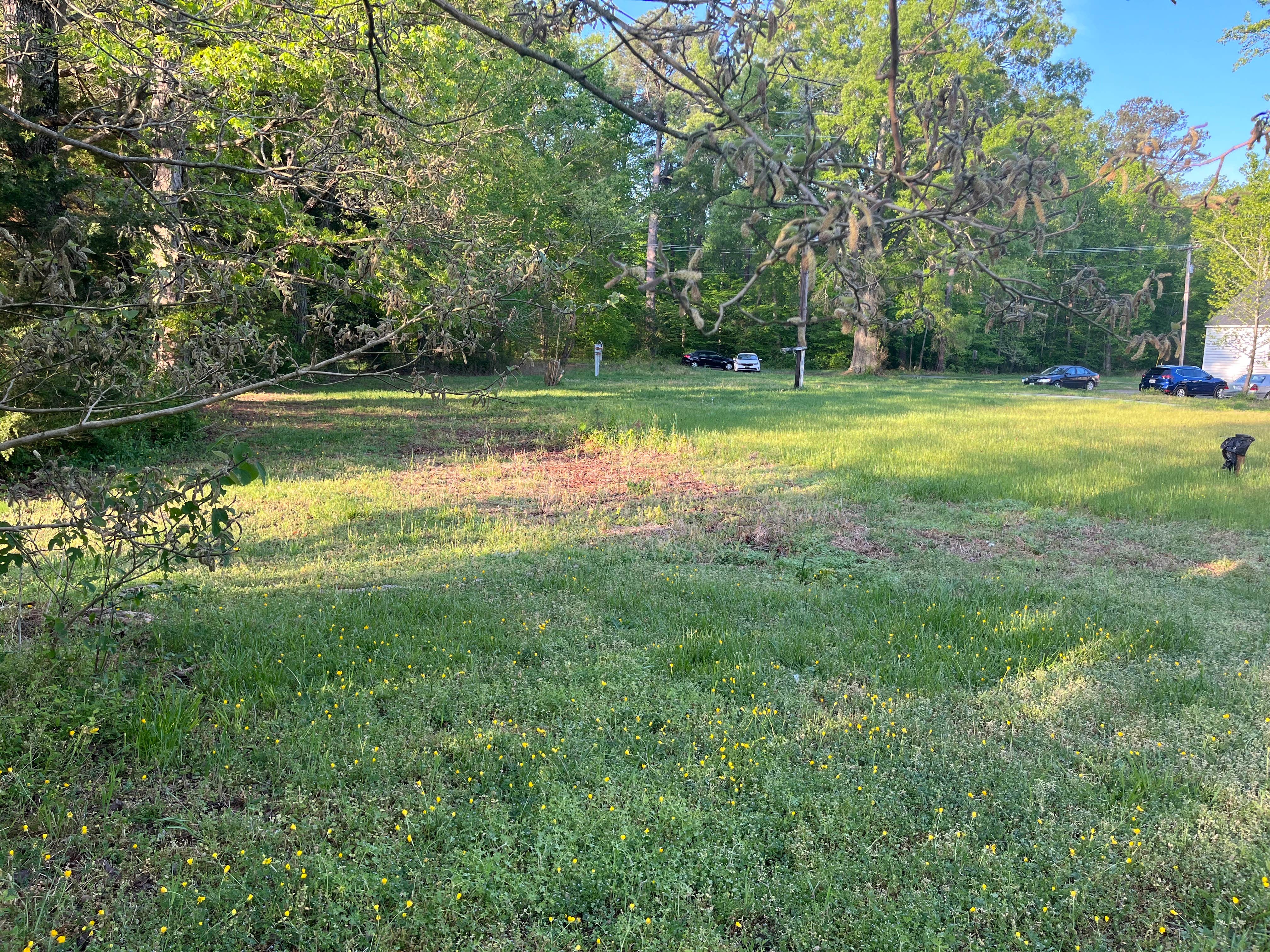 Francisco A.'s photo of camping with pets at 1 Acre campground, 50 amp, and Kayak launch near Colonial Beach, VA