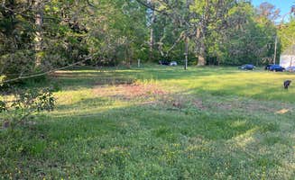 Francisco A.'s photo of camping with pets at 1 Acre campground, 50 amp, and Kayak launch near Broomes Island, MD