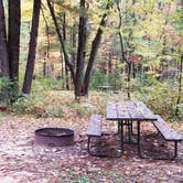 Review photo of Pigeon Creek Campground — Black River State Forest by Amy G., October 7, 2018