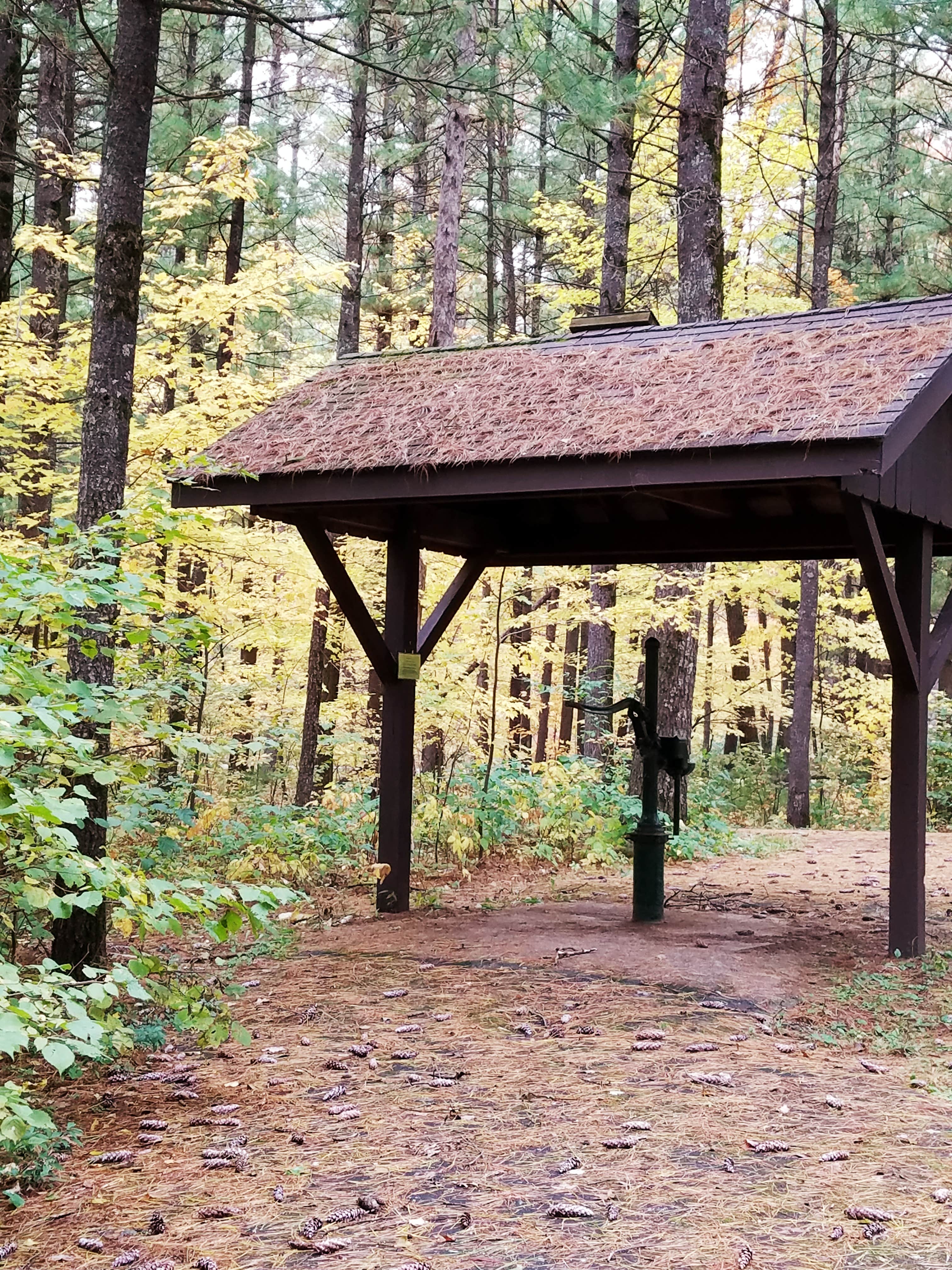 Camper-submitted photo at Pigeon Creek Campground — Black River State Forest near Pittsville, WI