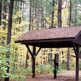 Review photo of Pigeon Creek Campground — Black River State Forest by Amy G., October 7, 2018