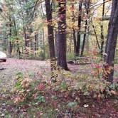 Review photo of Pigeon Creek Campground — Black River State Forest by Amy G., October 7, 2018