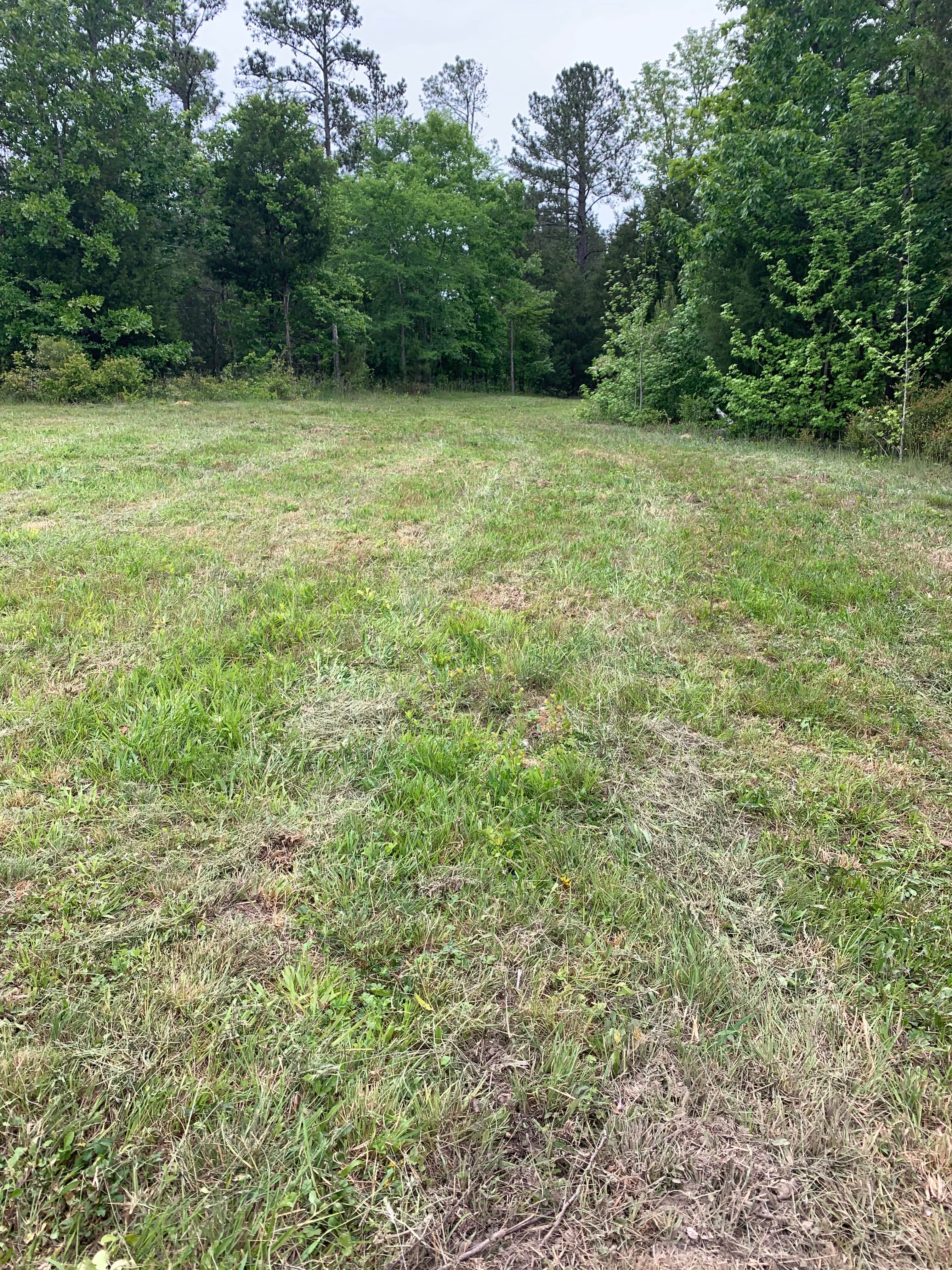 Camper-submitted photo at Kaleidoscope Farm near West Columbia, SC