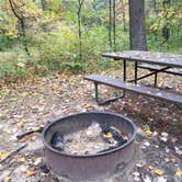 Review photo of Pigeon Creek Campground — Black River State Forest by Amy G., October 7, 2018