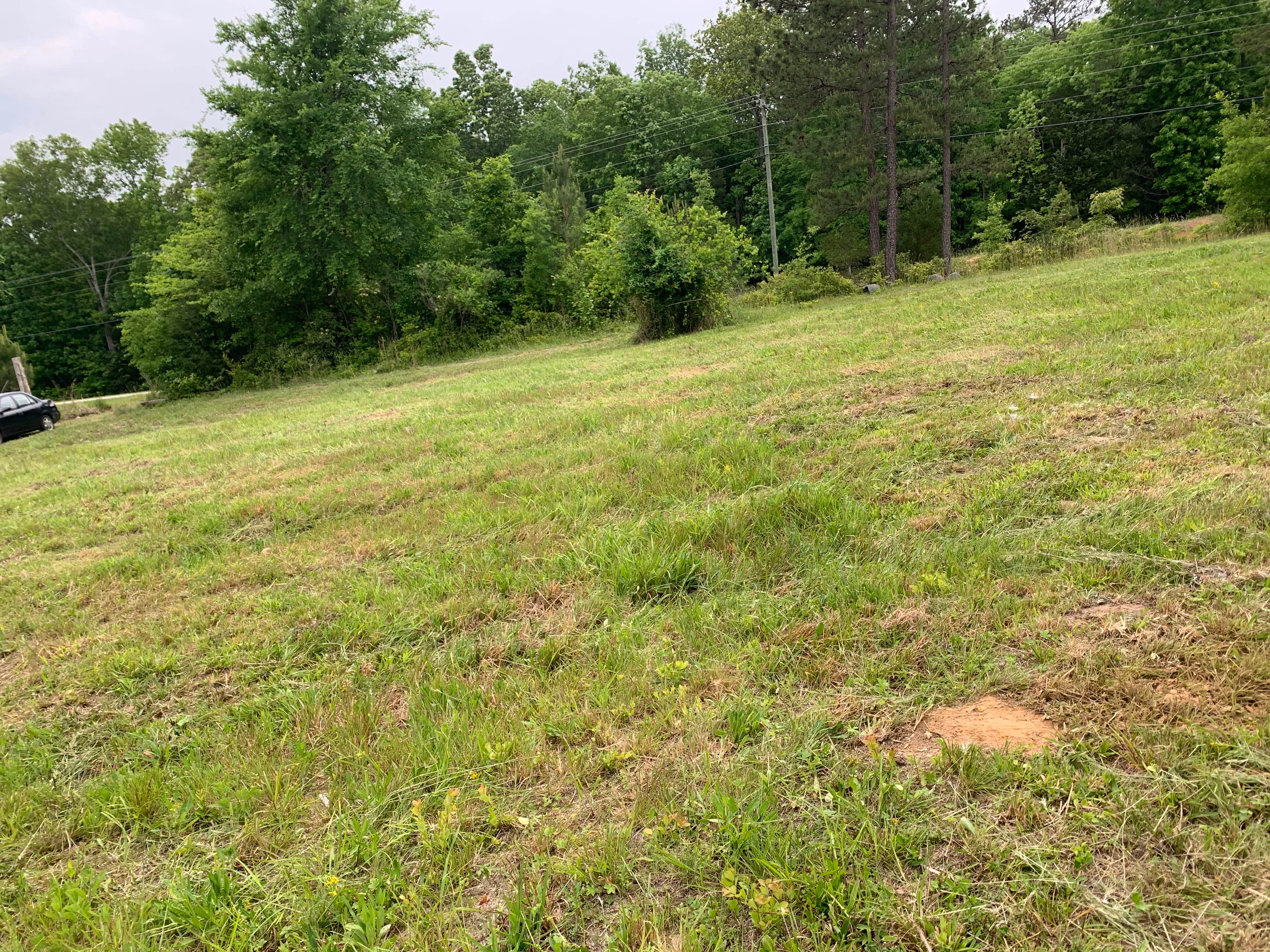 Camper-submitted photo at Kaleidoscope Farm near West Columbia, SC