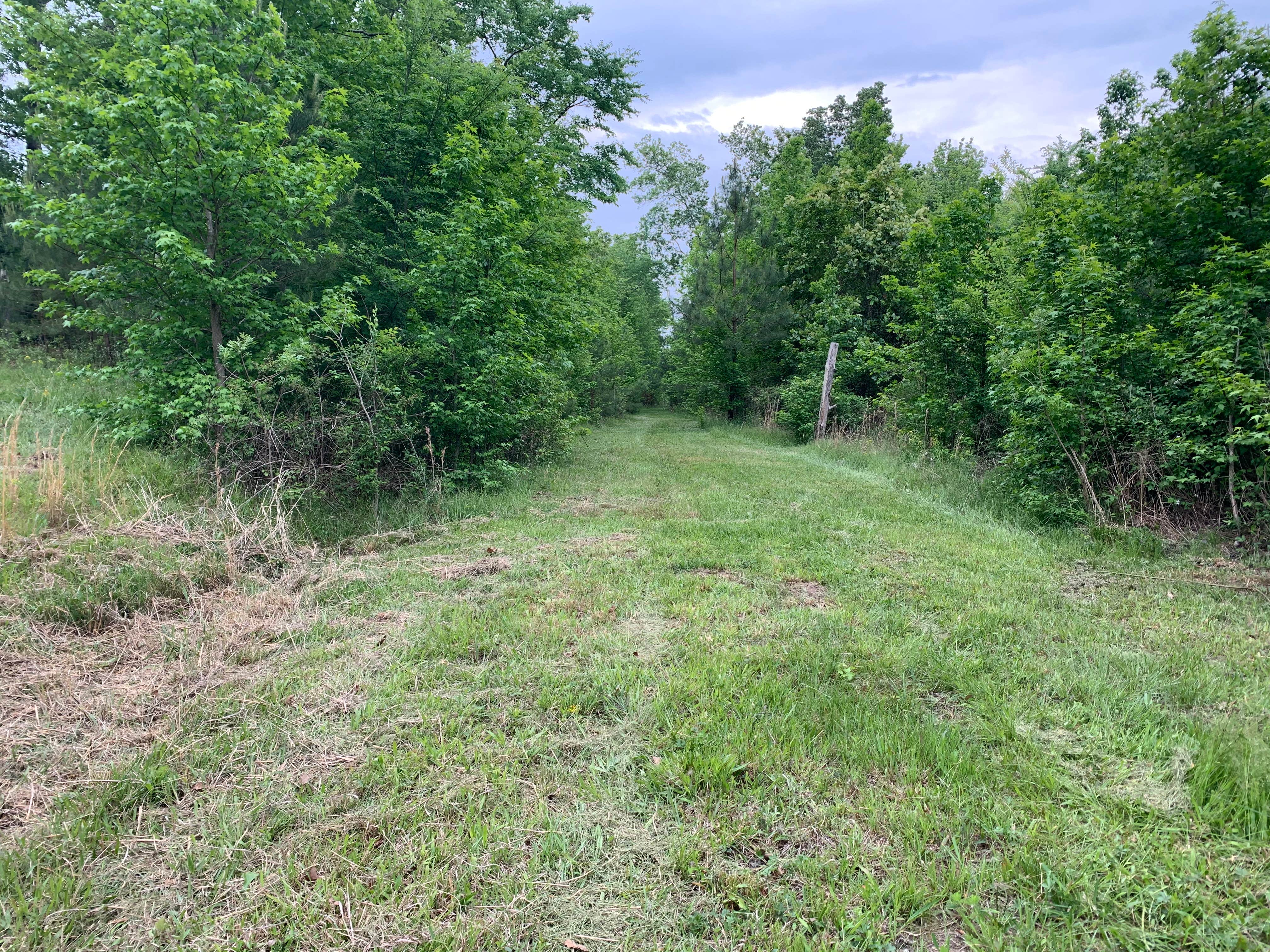 Camper-submitted photo at Kaleidoscope Farm near West Columbia, SC