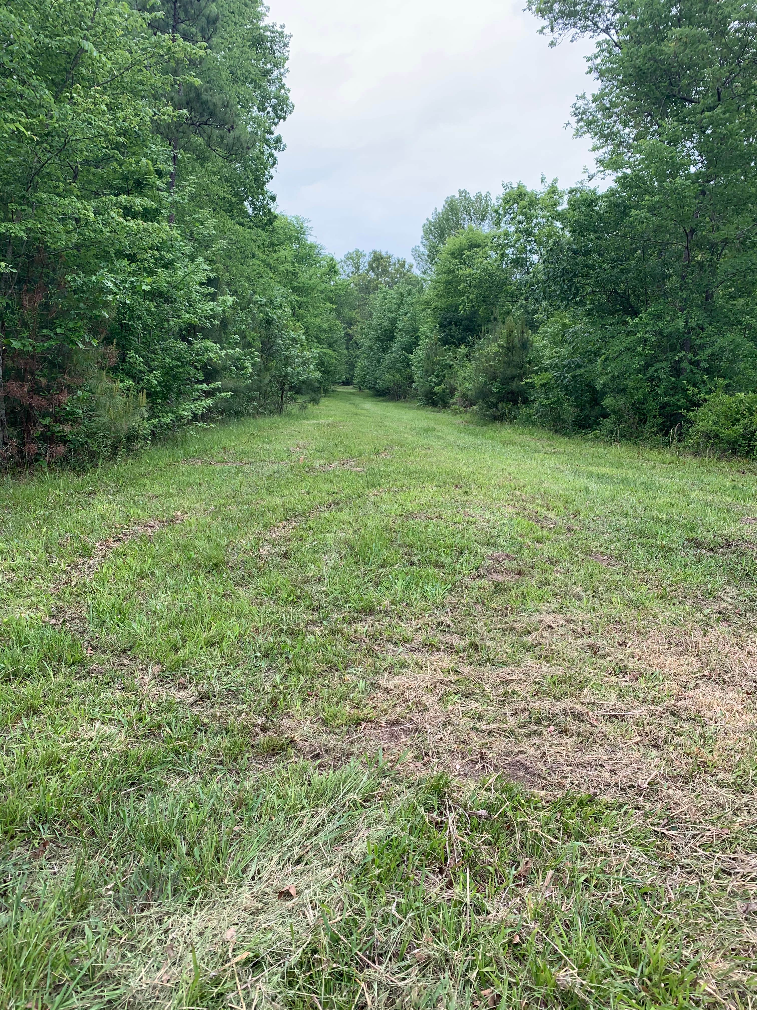 Camper-submitted photo at Kaleidoscope Farm near West Columbia, SC